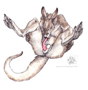 Rating: Explicit Score: 0 Tags: 2007 3_toes anatomically_correct anatomically_correct_genitalia animal_genitalia animal_penis anthro autofellatio balls balls_above_penis blotch claws cloaca cloacal_penis e621 erection feet fur genitals hi_res kangaroo macropod male mammal marsupial marsupial_penis masturbation nude oral oral_masturbation oral_penetration penetration penile penile_masturbation penis prehensile_penis red_kangaroo scratches_volume_1 simple_background soles solo tail tapering_penis thin_penis toe_claws toes traditional_media_(artwork) white_background User: bunchy7s Rating: Explicit Score: 0 Tags: 2007 3_toes anatomically_correct anatomically_correct_genitalia animal_genitalia animal_penis anthro autofellatio balls balls_above_penis blotch claws cloaca cloacal_penis e621 erection feet fur genitals hi_res kangaroo macropod male mammal marsupial marsupial_penis masturbation nude oral oral_masturbation oral_penetration penetration penile penile_masturbation penis prehensile_penis red_kangaroo scratches_volume_1 simple_background soles solo tail tapering_penis thin_penis toe_claws toes traditional_media_(artwork) white_background User: bunchy7s