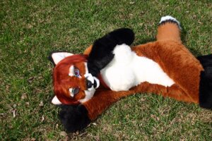 Rating: Questionable Score: 0 Tags: autumn_vixen blue_eyes breasts canid canine clothing costume e621 female fox fursuit grandfathered_content grass looking_at_viewer lying mammal nude on_back photography_(artwork) plant rabbitinthemoon real solo User: bunchy7s Rating: Questionable Score: 0 Tags: autumn_vixen blue_eyes breasts canid canine clothing costume e621 female fox fursuit grandfathered_content grass looking_at_viewer lying mammal nude on_back photography_(artwork) plant rabbitinthemoon real solo User: bunchy7s