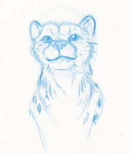 Rating: Safe Score: 0 Tags: ambiguous_gender blue_and_white cheetah e621 felid feline feral hi_res mammal monochrome notlyon simple_background solo white_background User: bunchy7s Rating: Safe Score: 0 Tags: ambiguous_gender blue_and_white cheetah e621 felid feline feral hi_res mammal monochrome notlyon simple_background solo white_background User: bunchy7s