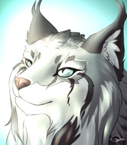 Rating: Safe Score: 0 Tags: ambiguous_gender black_body black_fur blue_eyes e621 ear_tuft facial_markings felid feline feral fur gradient_background grey_body grey_fur head_markings headshot_portrait inner_ear_fluff light long_mouth looking_up lynx mammal markings no_sclera pink_nose portrait pupils shalinka simple_background slit_pupils snout solo sunlight tuft white_body white_fur User: bunchy7s Rating: Safe Score: 0 Tags: ambiguous_gender black_body black_fur blue_eyes e621 ear_tuft facial_markings felid feline feral fur gradient_background grey_body grey_fur head_markings headshot_portrait inner_ear_fluff light long_mouth looking_up lynx mammal markings no_sclera pink_nose portrait pupils shalinka simple_background slit_pupils snout solo sunlight tuft white_body white_fur User: bunchy7s