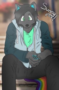 Rating: Safe Score: 0 Tags: 2013 5_fingers anthro black_hair blue_inner_ear_fluff canid canine clothed clothing e621 felix.h fingers fox fully_clothed green_eyes hair heart_(marking) heart_symbol hoodie inner_ear_fluff looking_at_viewer male mammal markings rainbow sitting solo topwear tuft User: bunchy7s