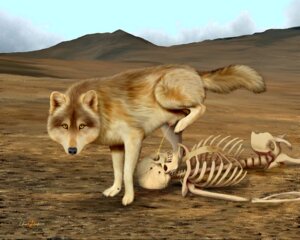 Rating: Explicit Score: 0 Tags: 5:4 anatomically_correct anatomically_correct_genitalia anatomically_correct_penis animal_genitalia animal_penis bodily_fluids bone canid canine canine_genitalia canine_penis canis death desert digitigrade e621 ebon_lupus feral genital_fluids genitals hiked_leg looking_at_viewer male mammal marking_territory northwestern_wolf obvious_symbolism peeing peeing_on_corpse pelvis penis penis_tip quadruped raised_leg realistic_feral rib_cage sheath side_view skeleton skull solo spine tail urine urine_stream watersports what wolf User: bunchy7s