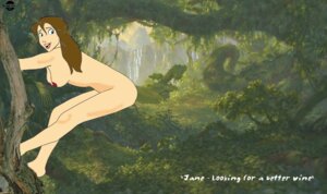 Rating: Explicit Score: 0 Tags: 1girls blind_spot breasts disney disney_princess english_text female female_only human jane_porter nipples nude outdoors rule34 side_view solo solo_female tagme tarzan_(1999_film) text User: bunchy7s