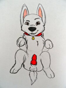 Rating: Explicit Score: 0 Tags: 1boy balls bolt_(bolt) bolt_(film) disney erection feral male male_only penis rough_sketch rule34 sketch solo tagme testicles zoophilic User: bunchy7s