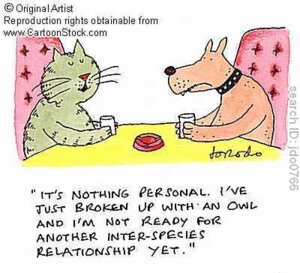 Rating: Safe Score: 0 Tags: ambiguous_gender anthro canid canine canis domestic_cat domestic_dog duo e621 english_text felid feline felis humor low_res mammal signature text unknown_artist unknown_artist_signature User: bunchy7s Rating: Safe Score: 0 Tags: ambiguous_gender anthro canid canine canis domestic_cat domestic_dog duo e621 english_text felid feline felis humor low_res mammal signature text unknown_artist unknown_artist_signature User: bunchy7s