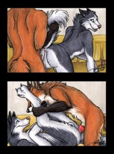 Rating: Explicit Score: 0 Tags: 2007 anal anthro anus canine canine_penis fox fur furry furry_only gay husky male open_mouth penis rule34 sex tani_da_real User: bunchy7s Rating: Explicit Score: 0 Tags: 2007 anal anthro anus canine canine_penis fox fur furry furry_only gay husky male open_mouth penis rule34 sex tani_da_real User: bunchy7s