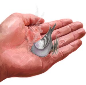Rating: Safe Score: 0 Tags: ambiguous_gender avian bird columbid disembodied_hand duo e621 feral headless human humanoid_hands mammal noja pigeon rock_dove solo_focus what User: bunchy7s
