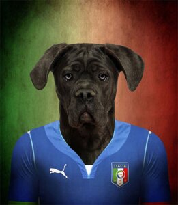 Rating: Safe Score: 0 Tags: 2014 anthro cane_corso canid canine canis domestic_dog e621 italian italy male mammal mastiff molosser puma_(company) soccer solo sport unknown_artist User: bunchy7s