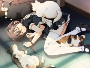 Rating: Safe Score: 0 Tags: 3_toes 4:3 animal_humanoid barefoot black_body black_fur calico_cat cat_humanoid clothed clothing detailed_background domestic_cat domestic_pet e621 eyes_closed feet felid felid_humanoid feline feline_humanoid felis female feral footwear fur group humanoid humanoid_hands legwear lying maid_uniform mammal mammal_humanoid mary_janes nude on_back on_side paws shoes sleeping tail tan_body tan_fur toes uniform unknown_artist whiskers white_body white_fur User: bunchy7s