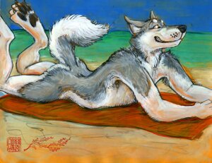 Rating: Questionable Score: 0 Tags: anthro beach belly biped black_lips black_nose black_pawpads blue_eyes butt canid canine canis casual_nudity claws day detailed_background domestic_dog e621 eyebrows feet fluffy fluffy_tail fur grey_body grey_fur husky java lips lying male mammal mudshark multicolored_body multicolored_fur nordic_sled_dog nude nude_beach on_front on_towel outside pawpads paws raised_tail sand seaside signature sky smile solo spitz tail teeth towel water white_belly white_body white_fur User: bunchy7s