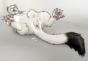 Rating: Explicit Score: 0 Tags: after_sex anatomically_correct anatomically_correct_genitalia anatomically_correct_penis animal_genitalia animal_penis anus balls bodily_fluids claws cum cum_in_ass cum_inside e621 erection eyes_closed feet feral fur genital_fluids genitals hindpaw hooked_penis lying male mammal mustelid mustelid_penis musteline on_back pawpads paws penis pink_nose quadruped selwyn simple_background solo stoat tail tail_anus teeth true_musteline weasel weasely whiskers white_body white_fur User: bunchy7s