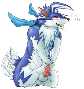 Rating: Explicit Score: 0 Tags: fur furry male male_only masturbation penis rule34 tail wolf User: bunchy7s
