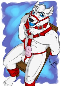 Rating: Explicit Score: 0 Tags: 5_toes amocin anthro ball_gag balls bdsm biped blue_eyes bondage bound canid canine chair chair_bondage e621 erection feet fur furniture gag gagged genitals halter harness harness_ball_gag harness_gag looking_at_viewer male mammal muzzle_(object) muzzled penis pink_penis rudikazootie sitting solo submissive submissive_male toes white_body white_fur wood wood_chair wood_furniture User: bunchy7s
