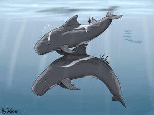 Rating: Safe Score: 0 Tags: 2010 4:3 ambiguous_gender aquatic brown_eyes bubble cetacean dolorcin dolphin duo e621 feral fish grey_eyes mammal oceanic_dolphin pilot_whale sea toothed_whale underwater water User: bunchy7s Rating: Safe Score: 0 Tags: 2010 4:3 ambiguous_gender aquatic brown_eyes bubble cetacean dolorcin dolphin duo e621 feral fish grey_eyes mammal oceanic_dolphin pilot_whale sea toothed_whale underwater water User: bunchy7s