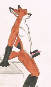 Rating: Explicit Score: 0 Tags: 2009 anthro canid canine e621 erection eyes_closed fox genitals isil knot male mammal masturbation nude penile penile_masturbation penis simple_background solo tail User: bunchy7s Rating: Explicit Score: 0 Tags: 2009 anthro canid canine e621 erection eyes_closed fox genitals isil knot male mammal masturbation nude penile penile_masturbation penis simple_background solo tail User: bunchy7s