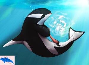 Rating: Explicit Score: 0 Tags: 1boy cetacean cum cumshot dolphin feral leeham991dark male male_only marine masturbation ocean orca orgasm penis rule34 solo tongue underwater User: bunchy7s