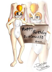 Rating: Explicit Score: 0 Tags: anthro beige_fur birthday breasts color female female_only fur furry mature_female nipples nude orange_fur orange_hair rabbit rule34 sega solo sonic_(series) sonic_the_hedgehog_(series) standing tagme tan_fur uncensored vanilla_the_rabbit white_fur zoom_layer User: bunchy7s