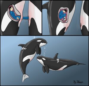 Rating: Explicit Score: 0 Tags: abdominal_bulge almost_fully_inside aquatic bestiality cervical_penetration cervix cetacean comic dolorcin dolphin e621 fallopian_tubes female feral fully_inside genitals group human human_on_feral inside_uterus internal internal_vaginal interspecies male male/female male_on_feral mammal oceanic_dolphin orca penetration size_difference teeth toothed_whale translucent translucent_body unbirthing uterus vaginal vaginal_canal vaginal_penetration vore vulva x-ray_view User: bunchy7s