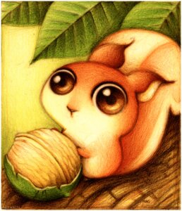 Rating: Safe Score: 0 Tags: ambiguous_gender big_eyes chibi detailed_background drupe_(fruit) e621 faboarts feral food fruit mammal nut_(fruit) plant rodent sciurid solo tail tree_squirrel walnut User: bunchy7s Rating: Safe Score: 0 Tags: ambiguous_gender big_eyes chibi detailed_background drupe_(fruit) e621 faboarts feral food fruit mammal nut_(fruit) plant rodent sciurid solo tail tree_squirrel walnut User: bunchy7s