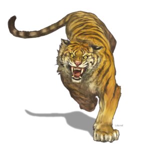 Rating: Safe Score: 0 Tags: ambiguous_gender e621 fangs felid feral g.river ham-on mammal pantherine simple_background solo stripes tail teeth tiger white_background User: bunchy7s