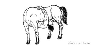 Rating: Explicit Score: 0 Tags: 2:1 autofellatio black_and_white centaur duran-art e621 equid equid_taur erection european_mythology genitals greek_mythology humanoid_taur humor male mammal mammal_taur masturbation monochrome mythology oral oral_masturbation oral_penetration penetration penile penile_masturbation penis solo split_form taur text url User: bunchy7s Rating: Explicit Score: 0 Tags: 2:1 autofellatio black_and_white centaur duran-art e621 equid equid_taur erection european_mythology genitals greek_mythology humanoid_taur humor male mammal mammal_taur masturbation monochrome mythology oral oral_masturbation oral_penetration penetration penile penile_masturbation penis solo split_form taur text url User: bunchy7s