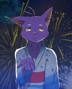 Rating: Safe Score: 0 Tags: anthro asian_clothing blush clothed clothing cool_colors digital_media_(artwork) domestic_cat e621 east_asian_clothing felid feline felis fireworks front_view fur happy japanese_clothing kimono looking_at_viewer male mammal morenatsu nako night outside purple_body purple_fur shin_kuroi sky smile solo unavailable_at_source yellow_eyes User: bunchy7s