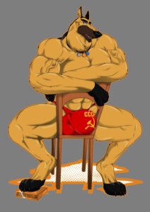 Rating: Explicit Score: 0 Tags: abs alpha_channel anthro anthrofied athletic barefoot biceps big_muscles biped black_claws brown_eyes bulge canid canine canis chair claws clothed clothing collar crossed_arms domestic_dog e621 fangs feet furniture german_shepherd herding_dog hi_res kazbek looking_at_viewer male mammal muscular muscular_anthro muscular_male open_mouth pastoral_dog paws pecs pose rhynobullraq russian simple_background sitting solo soviet_union space_dogs teeth toe_claws topless transparent_background vein User: bunchy7s