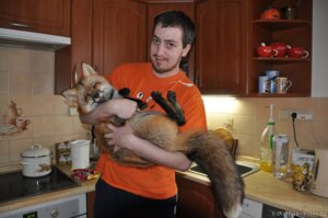 Rating: Safe Score: 0 Tags: 2011 ^_^ canid canine czech duo e621 eyes_closed feet female feral fluffy fluffy_tail fox fur grandfathered_content hindpaw human inside male mammal najlvin paws photography_(artwork) real red_fox smile tail true_fox vixey_(real) User: bunchy7s Rating: Safe Score: 0 Tags: 2011 ^_^ canid canine czech duo e621 eyes_closed feet female feral fluffy fluffy_tail fox fur grandfathered_content hindpaw human inside male mammal najlvin paws photography_(artwork) real red_fox smile tail true_fox vixey_(real) User: bunchy7s