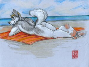 Rating: Questionable Score: 0 Tags: 2006 anthro beach biped black_nose blonde_hair blue_eyes blush butt canid canine canis casual_nudity claws cloud crossed_legs day detailed_background domestic_dog e621 eyebrows feet fluffy fluffy_tail fur grey_body grey_fur hair humanoid_feet husky java looking_at_viewer looking_back lying male mammal multicolored_body multicolored_fur nordic_sled_dog nude nude_beach on_front on_towel outside pawpads pink_pawpads plantigrade raised_tail sand seaside short_hair signature sky smile solo spitz tail towel water white_body white_fur User: bunchy7s Rating: Questionable Score: 0 Tags: 2006 anthro beach biped black_nose blonde_hair blue_eyes blush butt canid canine canis casual_nudity claws cloud crossed_legs day detailed_background domestic_dog e621 eyebrows feet fluffy fluffy_tail fur grey_body grey_fur hair humanoid_feet husky java looking_at_viewer looking_back lying male mammal multicolored_body multicolored_fur nordic_sled_dog nude nude_beach on_front on_towel outside pawpads pink_pawpads plantigrade raised_tail sand seaside short_hair signature sky smile solo spitz tail towel water white_body white_fur User: bunchy7s