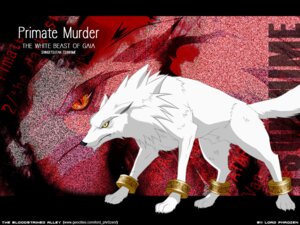 Rating: Safe Score: 0 Tags: 4:3 ambiguous_gender canid canine canis domestic_dog e621 english_text feral fur mammal primate_murder solo tail text tsukihime type-moon unknown_artist url wallpaper white_body white_fur User: bunchy7s
