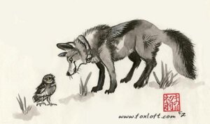 Rating: Safe Score: 0 Tags: 2012 avian beak bird canid canine canis claws collar coyote duo e621 eye_contact feathers feral foxfeather fur green_eyes looking_at_another male mammal nude outside owl quadruped side_view simple_background size_difference smile spot_color sumi-e tail text url whiskers white_background yellow_eyes User: bunchy7s