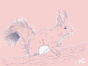 Rating: Safe Score: 0 Tags: 2012 4:3 ambiguous_gender chest_tuft claws e621 ear_tuft eurasian_red_squirrel feral fur mammal oonami plant pose rodent sciurid simple_background sitting sketch solo tail tree tree_squirrel tuft whiskers wood User: bunchy7s Rating: Safe Score: 0 Tags: 2012 4:3 ambiguous_gender chest_tuft claws e621 ear_tuft eurasian_red_squirrel feral fur mammal oonami plant pose rodent sciurid simple_background sitting sketch solo tail tree tree_squirrel tuft whiskers wood User: bunchy7s