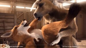 Rating: Explicit Score: 0 Tags: 2011 3d_(artwork) 3d_animation anal anal_penetration animal_genitalia animal_penis animated animated_gif anthro anthro_on_anthro anthro_penetrated anthro_penetrating anthro_penetrating_anthro balls barn barrel biceps blonde_hair bouncing_penis canid canine canine_genitalia canine_penis digital_media_(artwork) duo e621 equid equine erection eyes_closed fox french_kissing from_front_position fur genitals hair happy happy_sex horse huge_filesize interspecies kissing kissing_while_penetrated kissing_while_penetrating knot larger_anthro larger_male legs_up long_hair looking_pleasured loop love lying male male/male male_penetrated male_penetrating male_penetrating_male mammal muscular muscular_anthro muscular_male muscular_top nude on_back paul_(taurin_fox) pecs penetration penile penile_penetration penis penis_in_ass romantic romantic_couple sex sheath short_playtime size_difference smaller_anthro smaller_male smaller_penetrated smile spread_legs spreading standing table_lotus_position taurin_fox taurin_fox_(character) User: bunchy7s