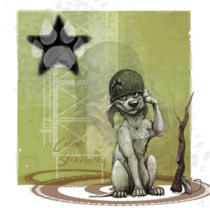 Rating: Safe Score: 0 Tags: ambiguous_gender armor canid canine canis colonel_strawberry colonel_strawberry_(character) domestic_dog e621 feral headgear helmet mammal mouse murid murine rodent solo star stick User: bunchy7s
