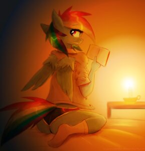 Rating: Safe Score: 0 Tags: 2013 anthro anthrofied bed biped blue_body blue_feathers blue_fur book butt candle candlestick clothing e621 equid equine feathered_wings feathers female footwear friendship_is_magic fur furniture hair hasbro legwear looking_at_viewer looking_back mammal multicolored_hair my_little_pony mythological_creature mythological_equine mythology panties pegasus purple_eyes rainbow_dash_(mlp) rainbow_hair reading shirt sitting socks solo table topwear underwear vulpessentia wariza wings User: bunchy7s