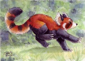 Rating: Safe Score: 0 Tags: 2012 ailurid ambiguous_gender claws e621 feral grass mammal painting_(artwork) plant quadruped red_panda running silentravyn solo tail traditional_media_(artwork) traditional_painting_(artwork) traditional_watercolor_(artwork) watercolor_(artwork) User: bunchy7s Rating: Safe Score: 0 Tags: 2012 ailurid ambiguous_gender claws e621 feral grass mammal painting_(artwork) plant quadruped red_panda running silentravyn solo tail traditional_media_(artwork) traditional_painting_(artwork) traditional_watercolor_(artwork) watercolor_(artwork) User: bunchy7s