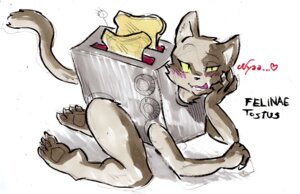 Rating: Safe Score: 0 Tags: anthro appliance blush bread brown_body brown_fur cybernetics cyborg daigaijin dialogue domestic_cat e621 english_text felid feline felis female food fur heart_symbol kitchen_appliance looking_at_viewer machine mammal painting_(artwork) paws pose simple_background solo suggestive text toast toaster tongue tongue_out traditional_media_(artwork) traditional_painting_(artwork) traditional_watercolor_(artwork) watercolor_(artwork) what what_has_science_done white_background User: bunchy7s