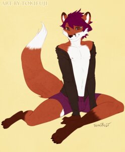 Rating: Safe Score: 0 Tags: 2011 anthro belly biped black_nose bottomwear brown_eyes bulge canid canine claws clothed clothing countershading dipstick_tail e621 feet fox fur hair hindpaw looking_at_viewer male mammal markings midriff navel nipples no_pupils open_clothing open_shirt open_topwear orange_body orange_fur paws purple_hair shirt shorts simple_background sitting smile solo spread_legs spreading tail tail_markings text tokifuji topwear white_belly User: bunchy7s