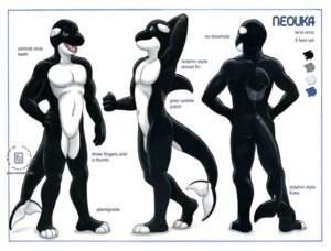 Rating: Safe Score: 0 Tags: 2008 anthro aquatic black_body cetacean color_swatch dolphin e621 english_text featureless_crotch fin kacey male mammal model_sheet neouka_land_orca nude oceanic_dolphin orca side_view simple_background solo tail text toothed_whale turnaround User: bunchy7s Rating: Safe Score: 0 Tags: 2008 anthro aquatic black_body cetacean color_swatch dolphin e621 english_text featureless_crotch fin kacey male mammal model_sheet neouka_land_orca nude oceanic_dolphin orca side_view simple_background solo tail text toothed_whale turnaround User: bunchy7s