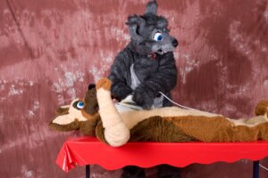 Rating: Safe Score: 0 Tags: anthro black_nose blue_eyes brown_body canid canine canis clothes_iron clothing costume doing_it_wrong domestic_dog duo e621 fur furniture fursuit german_shepherd grandfathered_content grey_body grey_fur herding_dog holding_clothes_iron holding_object ironing ironing_board lying male male_anthro mammal on_back pastoral_dog real standing table unknown_artist User: bunchy7s