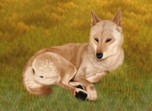 Rating: Explicit Score: 0 Tags: anatomically_correct anatomically_correct_genitalia anatomically_correct_vulva animal_genitalia animal_vulva butt canid canine canine_genitalia canine_vulva canis e621 ebon_lupus female feral genitals mammal outside photorealism presenting presenting_hindquarters realistic solo tail vulva wolf User: bunchy7s