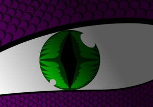 Rating: Safe Score: 0 Tags: dragon e621 friendship_is_magic green_eyes hasbro hi_res male my_little_pony mythological_creature mythological_scalie mythology purple_body purple_scales scales scalie solo spike_(mlp) unknown_artist User: bunchy7s Rating: Safe Score: 0 Tags: dragon e621 friendship_is_magic green_eyes hasbro hi_res male my_little_pony mythological_creature mythological_scalie mythology purple_body purple_scales scales scalie solo spike_(mlp) unknown_artist User: bunchy7s