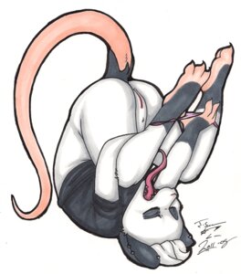 Rating: Explicit Score: 0 Tags: 3_toes american_opossum anthro bailey_(os) bottomless clothed clothing countershade_feet countershading e621 ear_piercing eyes_closed feet female genitals hair long_tongue mammal marsupial open_mouth os panties panties_down partially_clothed piercing plump_labia simple_background solo tail toes tomboy tongue tongue_out underwear underwear_down undressing upside_down virginia_opossum vulva white_background white_hair User: bunchy7s Rating: Explicit Score: 0 Tags: 3_toes american_opossum anthro bailey_(os) bottomless clothed clothing countershade_feet countershading e621 ear_piercing eyes_closed feet female genitals hair long_tongue mammal marsupial open_mouth os panties panties_down partially_clothed piercing plump_labia simple_background solo tail toes tomboy tongue tongue_out underwear underwear_down undressing upside_down virginia_opossum vulva white_background white_hair User: bunchy7s