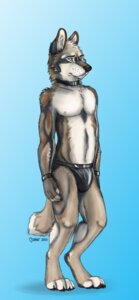 Rating: Questionable Score: 0 Tags: anthro biped briefs canid canine canis chasington clothed clothing collar e621 looking_away male mammal muscular muscular_anthro muscular_male simple_background skimpy solo standing underwear wolf wristband User: bunchy7s