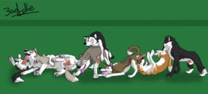 Rating: Explicit Score: 0 Tags: canine dog_orgy female group_sex husky male naughty orgy penis pussy rule34 sex sled User: bunchy7s
