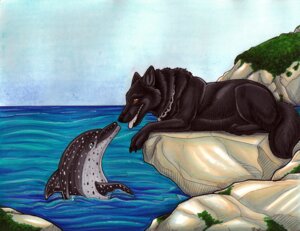 Rating: Safe Score: 0 Tags: ambiguous_gender aquatic atlantic_spotted_dolphin black_body black_fur canid canine canis cetacean cloud collar day dolphin duo e621 eye_contact feral fur likeshine looking_at_another mammal oceanic_dolphin open_mouth outside quadruped rocky_shore sea seaside sky tail teeth tongue toothed_whale water wolf User: bunchy7s