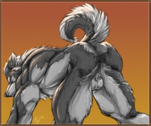 Rating: Explicit Score: 0 Tags: 1boy all_fours anthro ass backsack balls big_muscles butt canid canine canis e621 fur furry genitals huge_muscles male male_only mammal muscles muscular muscular_anthro muscular_male nude pose rrowdybeast rule34 silver_fenrir solo tail wolf User: bunchy7s Rating: Explicit Score: 0 Tags: 1boy all_fours anthro ass backsack balls big_muscles butt canid canine canis e621 fur furry genitals huge_muscles male male_only mammal muscles muscular muscular_anthro muscular_male nude pose rrowdybeast rule34 silver_fenrir solo tail wolf User: bunchy7s