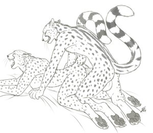 Rating: Explicit Score: 0 Tags: anal balls barbs big_balls cheetah closed_eyes doggy_style feline female king_cheetah linsey_huish male monochrome nude open_mouth penis raised_tail rule34 sex sidian straight tail User: bunchy7s Rating: Explicit Score: 0 Tags: anal balls barbs big_balls cheetah closed_eyes doggy_style feline female king_cheetah linsey_huish male monochrome nude open_mouth penis raised_tail rule34 sex sidian straight tail User: bunchy7s