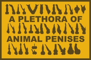 Rating: Explicit Score: 0 Tags: 2_penises a_plethora_of_penises animal_genitalia animal_penis balls border canine_genitalia canine_penis disembodied_penis e621 equine_genitalia equine_penis erection feline_genitalia feline_penis genitals group hemipenes hi_res kaiza_teira male multi_genitalia multi_penis penis penis_everywhere penis_sheet silhouette tapering_penis unusual_anatomy unusual_genitalia unusual_penis yellow_border User: bunchy7s