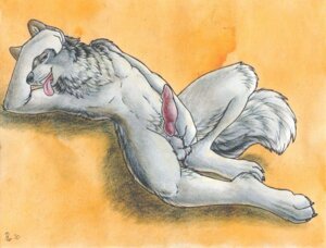 Rating: Explicit Score: 0 Tags: animal_genitalia animal_penis anthro balls biped canid canine canine_genitalia canine_penis canis chest_tuft digitigrade e621 erection fur genitals knot lying male mammal nude open_mouth penis ruaidri sheath solo tail tongue tongue_out tuft wolf User: bunchy7s Rating: Explicit Score: 0 Tags: animal_genitalia animal_penis anthro balls biped canid canine canine_genitalia canine_penis canis chest_tuft digitigrade e621 erection fur genitals knot lying male mammal nude open_mouth penis ruaidri sheath solo tail tongue tongue_out tuft wolf User: bunchy7s